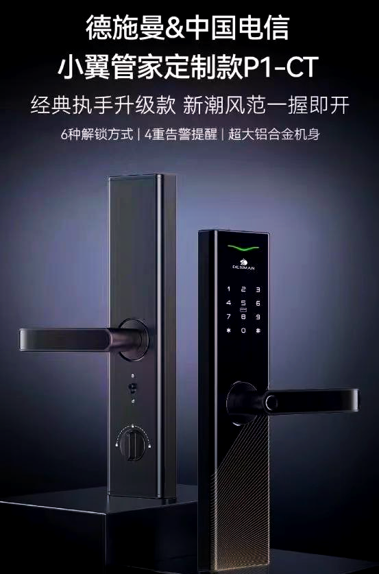 德施曼P1-CT智能门锁控制板 功能与技术解析